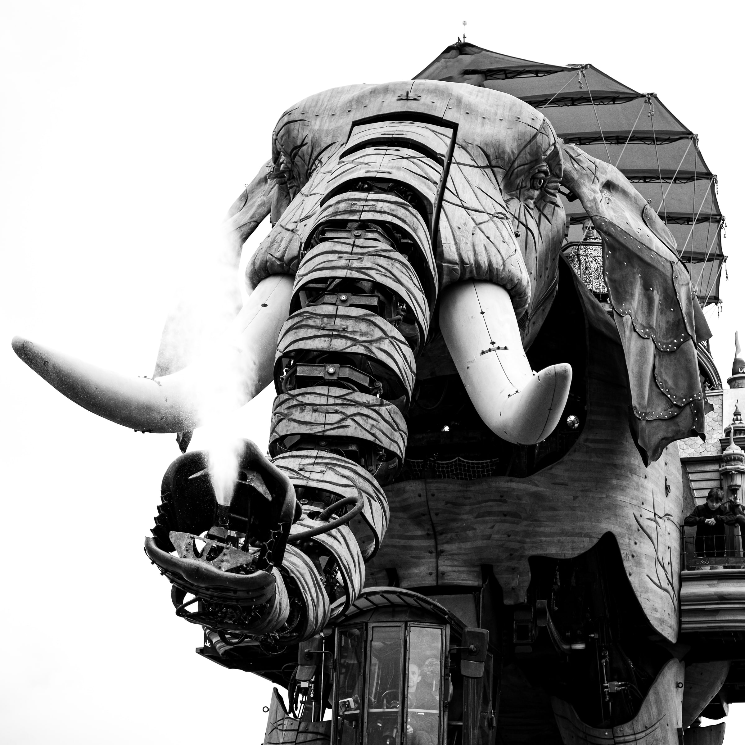 Éléphant, Nantes